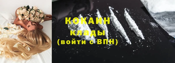 мяу мяу мука Аркадак