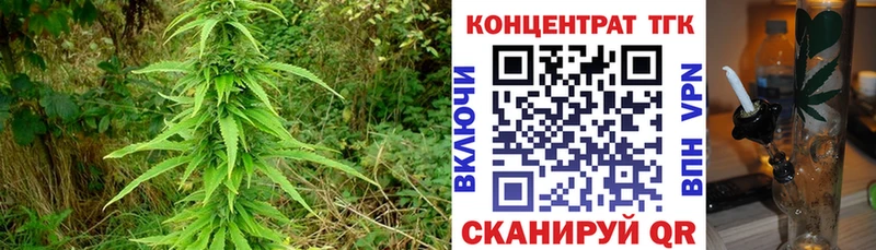 Купить где  Нурлат  Дистиллят ТГК вейп с тгк 