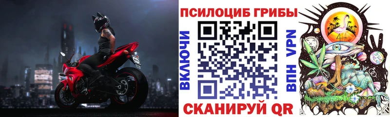 Купить закладки  Нурлат  Псилоцибиновые грибы Cubensis 